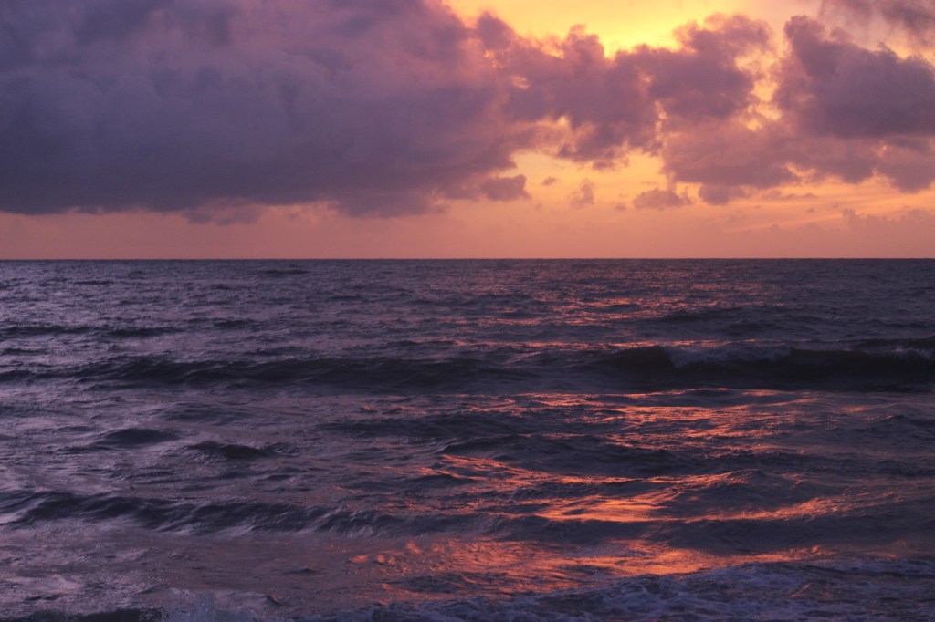 Love at First Sight in&nbsp;NEGOMBO!