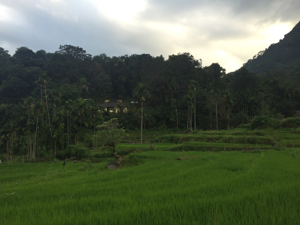 Experiencing the richness of life in&nbsp;Meemure